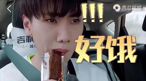 爱豆吃瓜娱乐酱追星族